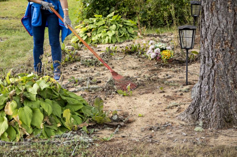 Vegetation Management Timing