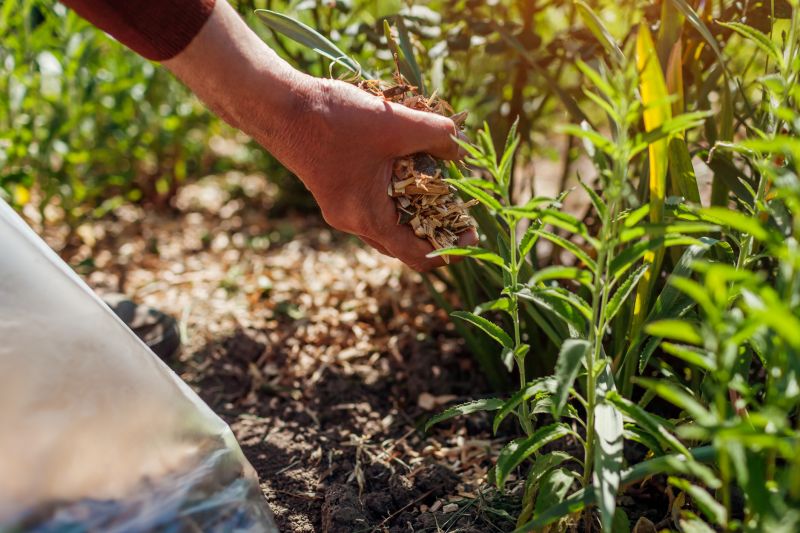 Mulch Production