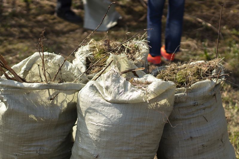 Brush Chipping Service