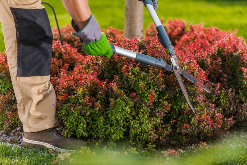 Hedge Trimming in Honolulu, HI
