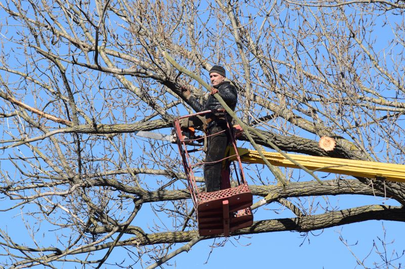 Tree Inspection & Trimming