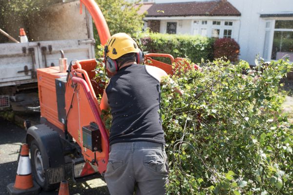 Wood Branch Chipping
